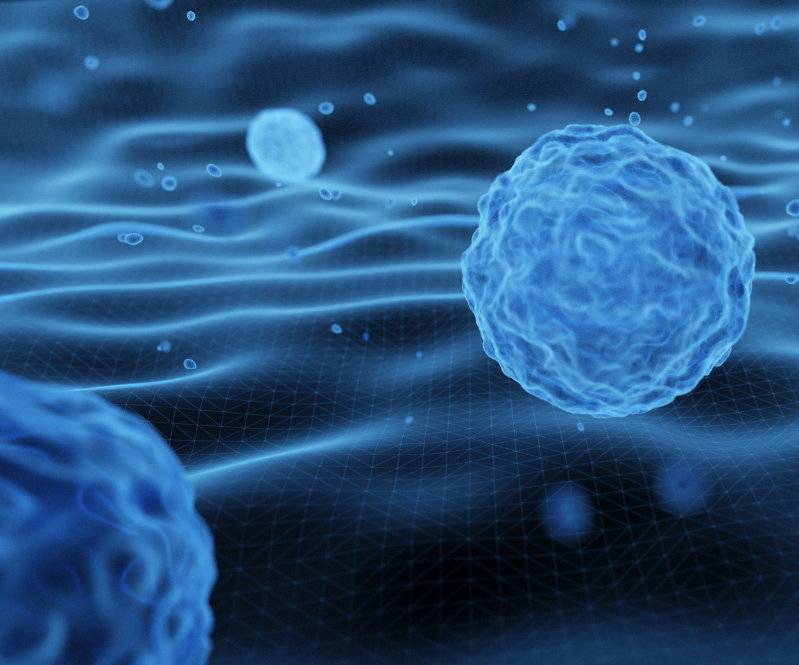 Autologous vs Commercial Exosomes: How to Face Current Market Challenges