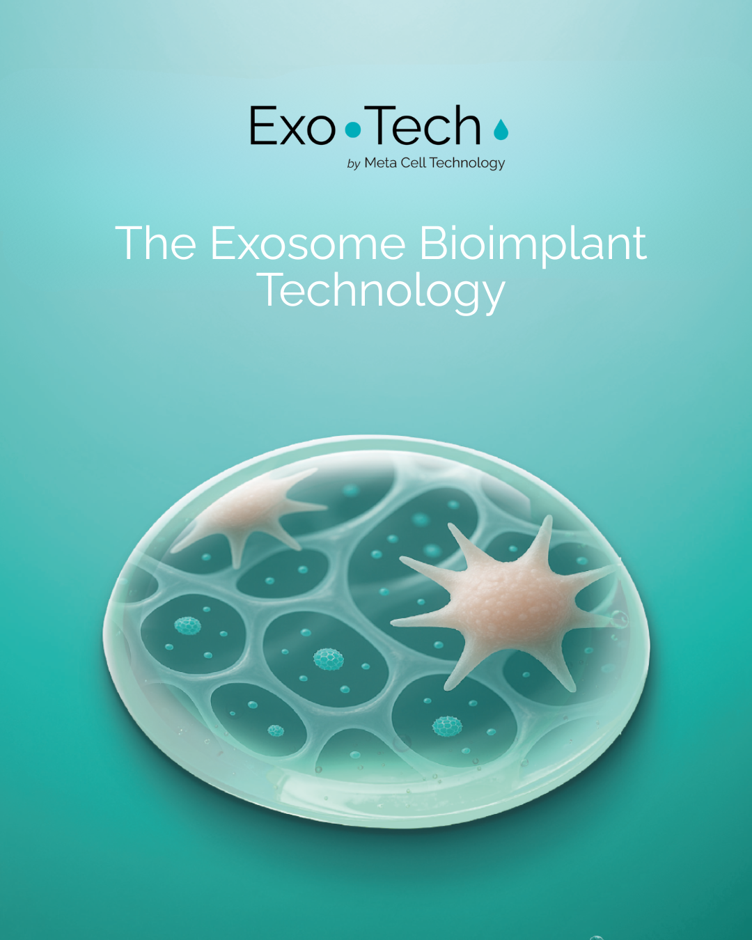 Breaking the Rules in Injectable Scaffolds for Regenerative Medicine: Exo-Tech & MCT System